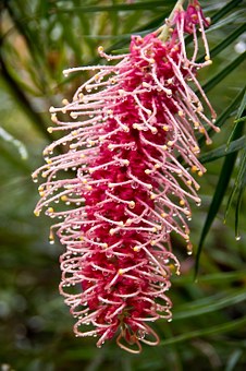 Australia Visa Formalities - Uncomplicated And Welcoming
