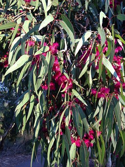 For a great weekend away try Bathurst NSW Australia