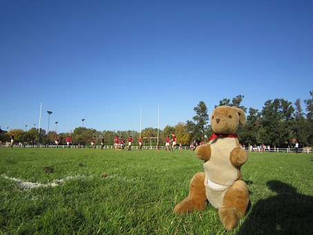 Things To See And Do Near Holiday Apartments In Sydney