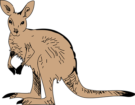 Australian Air Craft Charters