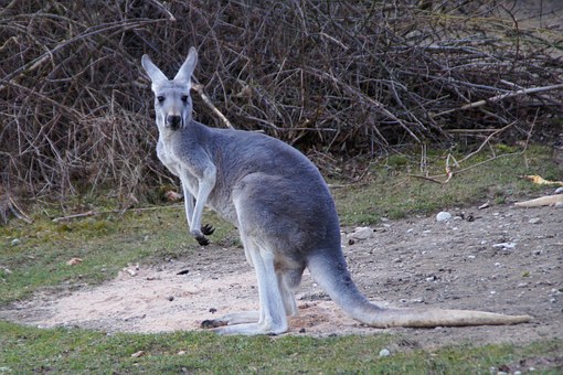 Have A Warm Golf Travel in Australia