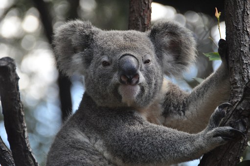 Goulburn is a great base to explore the Southern Highlands of Australia