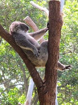 Port Stephens - Preserved naturally in Australia
