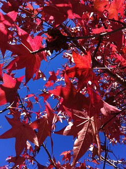 Five Frequently Asked Questions About Australia