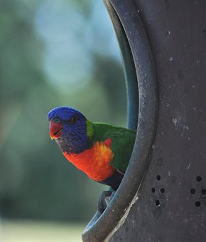 Check Out Marvelous Bargains On Villas Trip Tools Meals And Plane Fares Through Reasonable One-time