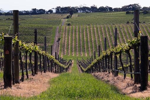 Driving Restrictions in Australia for a Perfect Holiday