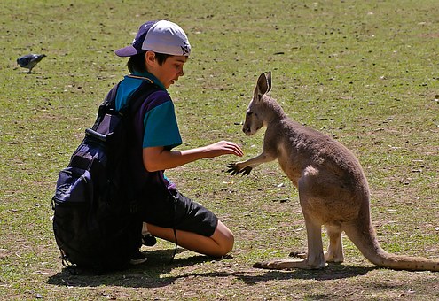Adventurers Basics When Booking The Trip With Tips For Having Budget Passage