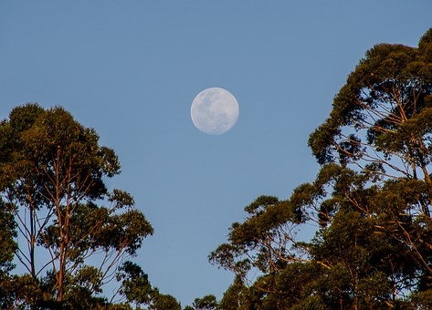 Want to know more on work visa & migrating to Australia?