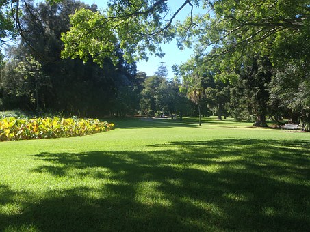 Reasons To Start An Australian Driving Holiday In Brisbane