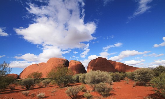 Australia An Anglers Delight!