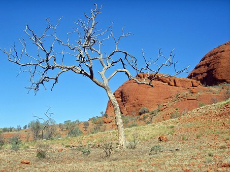 Best Australian Summer Holidays