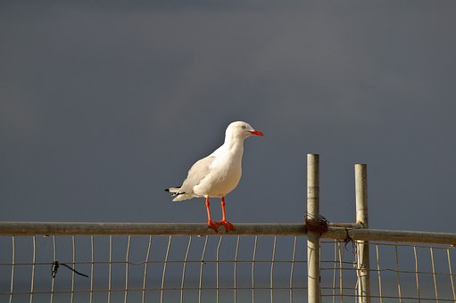 Perfect holiday with Batemans bay accommodations