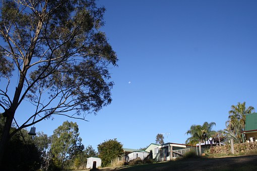 Interact with Australia's native wildlife on Kangaroo Island