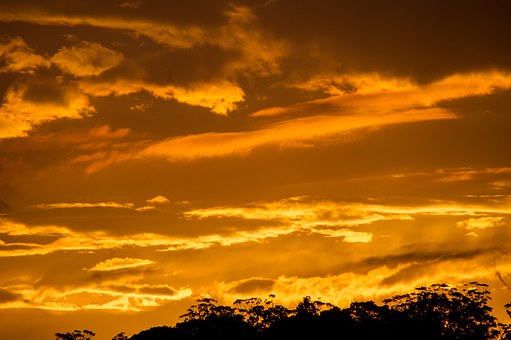 Holiday Accommodation In Brisbane