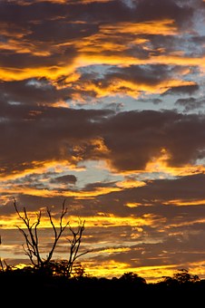 Australia's Housing Crisis: Who's Saying What and What it Means for the Future