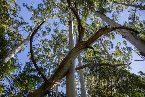 Australia Honeymoon Ideas And Australian Honeymoon Destin