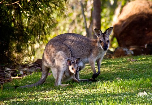 Lonely in Australia on Valentine's Day? 3 Top Places to Meet Singles