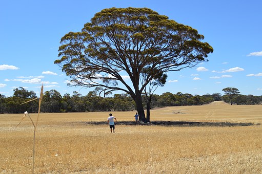 Finding A Flinders Ranges In Australia