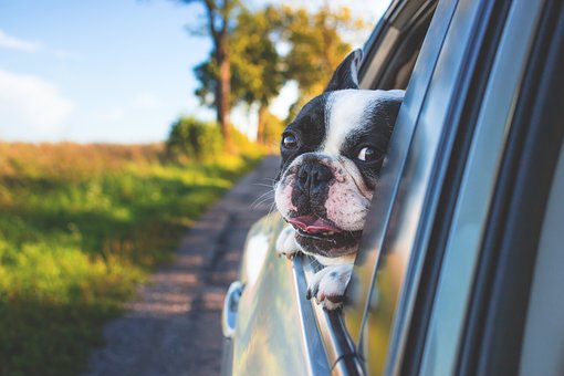 Competent Injury Claim Filing Gives You Peace of Mind