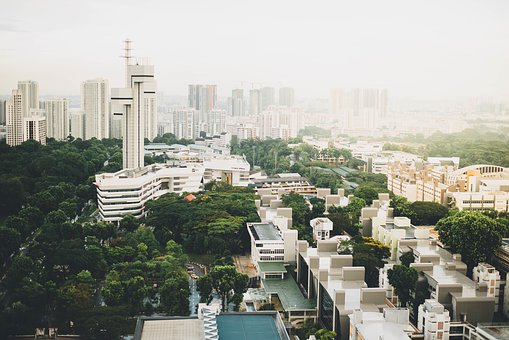 Frbiz Reports Need To Slow Down The Pace Of China's Auto