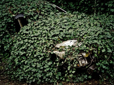 Artistic Methods To Have The Cheapest Car Insurance