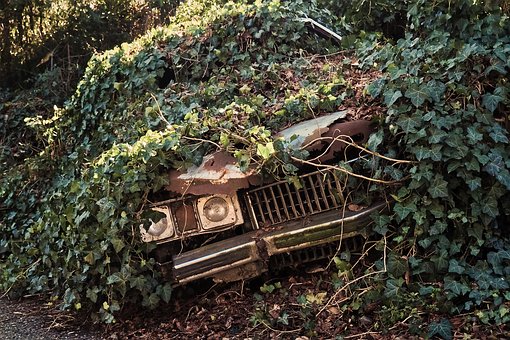 Insurance Policy for High Risk Driver