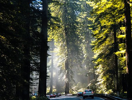 Reasons To Buy Auto Insurance Lansing
