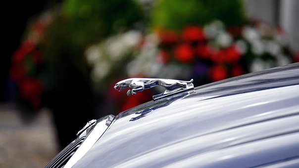 Several Must-haves Of A Good Personal Injury And Automobile Accident Attorney In Oakland: An Examina