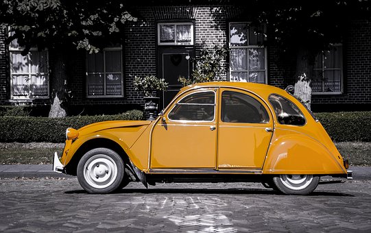 How To Control Insects With An Auto Misting System