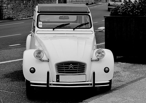 Reg Cure Serial Number ? - Don't Make a Mistake !