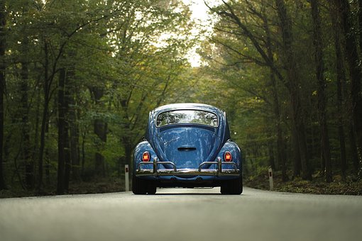 Car Insurance