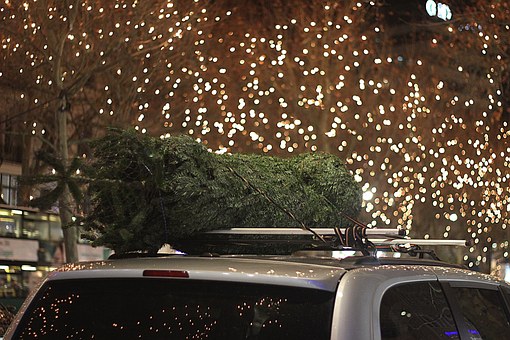 Protect Your Car From Higher Insurance Rates This Winter