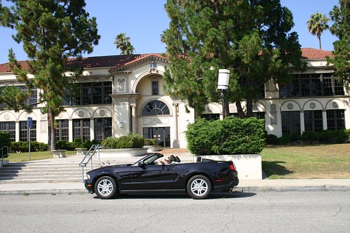 Extended Automobile Warrantee Considerations