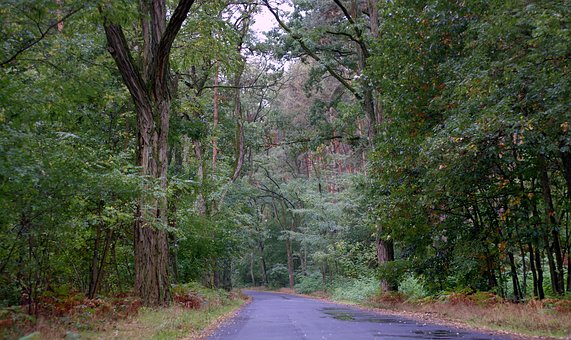 Weather Damage and Car Insurance