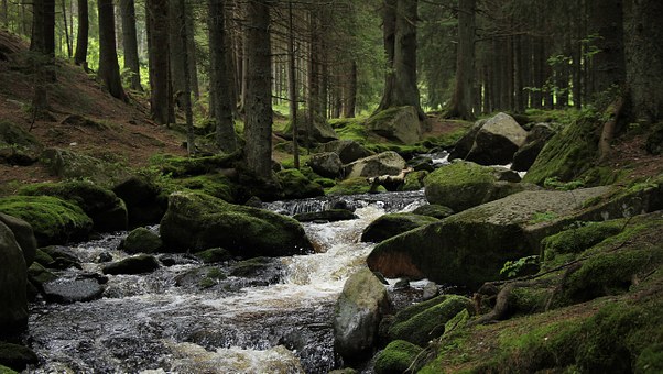 Finding Competitively Priced Caravan Insurance