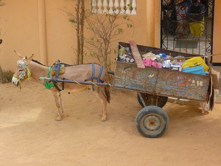 Does It Really Matter Which Auto Shipping Companies You Choose?