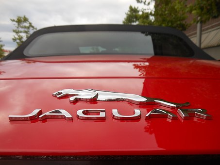 Bad credit auto buying
