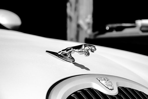 Utilized Auto Basics