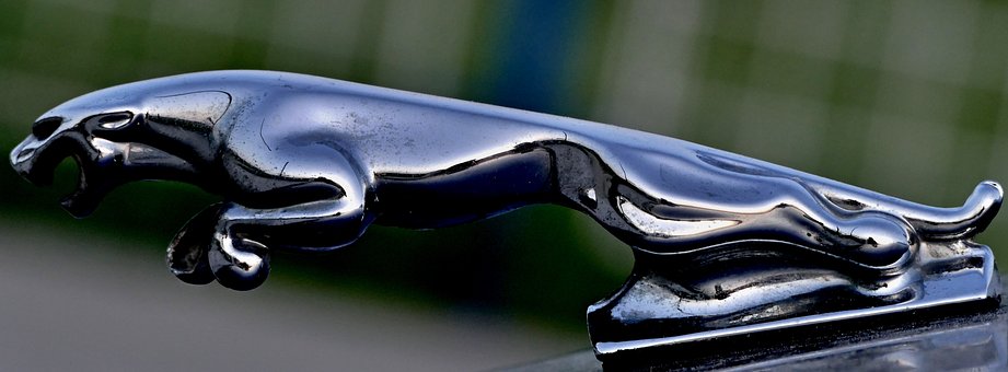 Auto Insurance Quote- Important Fact Regarding Company Auto Insurance