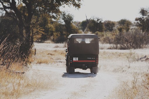 Insurance Policy for High Risk Driver