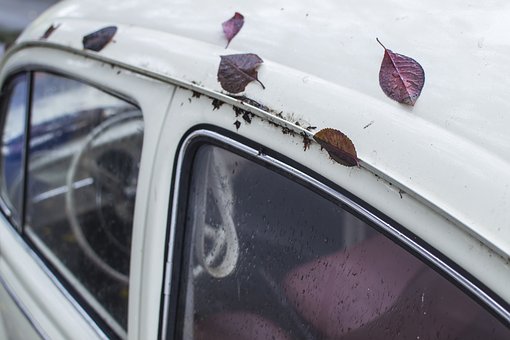 Buy Auto Leads Making Automobile Business More Lucrative