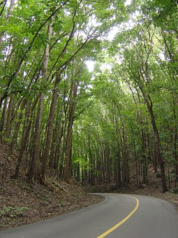 Indiana Automobile Insurance Is Offering The Most Economical Vehicle Insurance