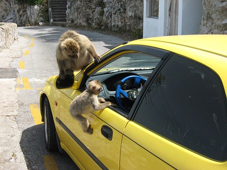 The Best Way To Store For University Student Car Auto Insurance Policy