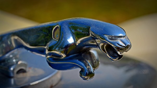 To Buy, or To Lease Your Next Automobile? The Pros and Cons You Should Be Aware Of