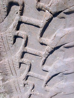 Options To Manage Auto Repair Effectively