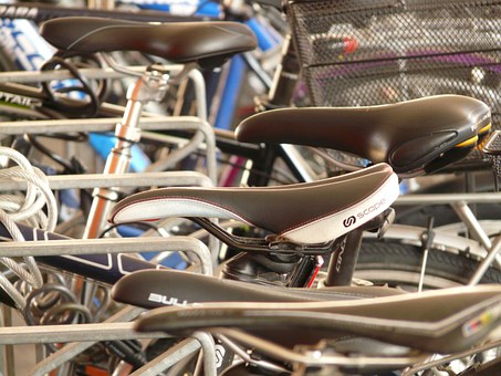 Transportation Studies And Job Opportunities by:Jack Race