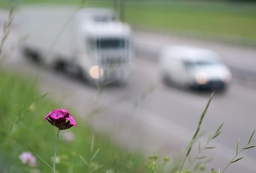 Tips On How To Gain From Vehicle Insurance Savings If You Own A Vehicle