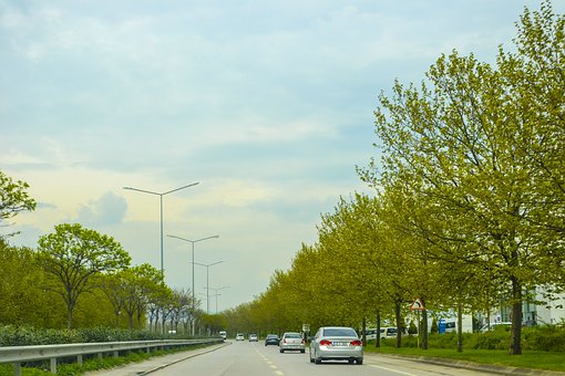 Knowing Injuries Involving Paralysis