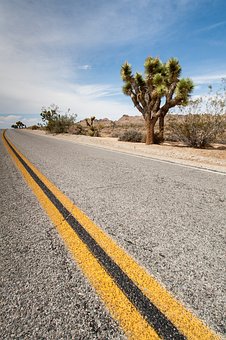 Car Insurance Quotes,,