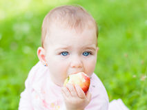 At Cheap Graco You Will Find Nhtsa And Jpma Certified Baby Products